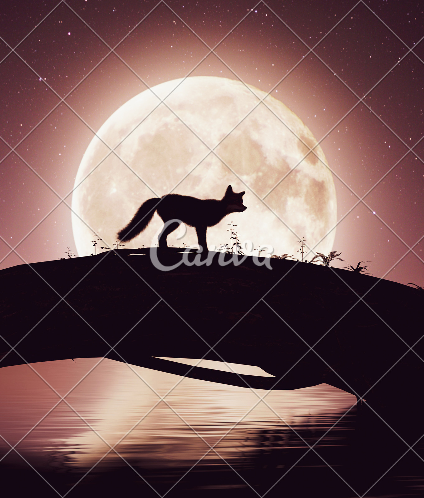 fox silhouetted in front of full moon